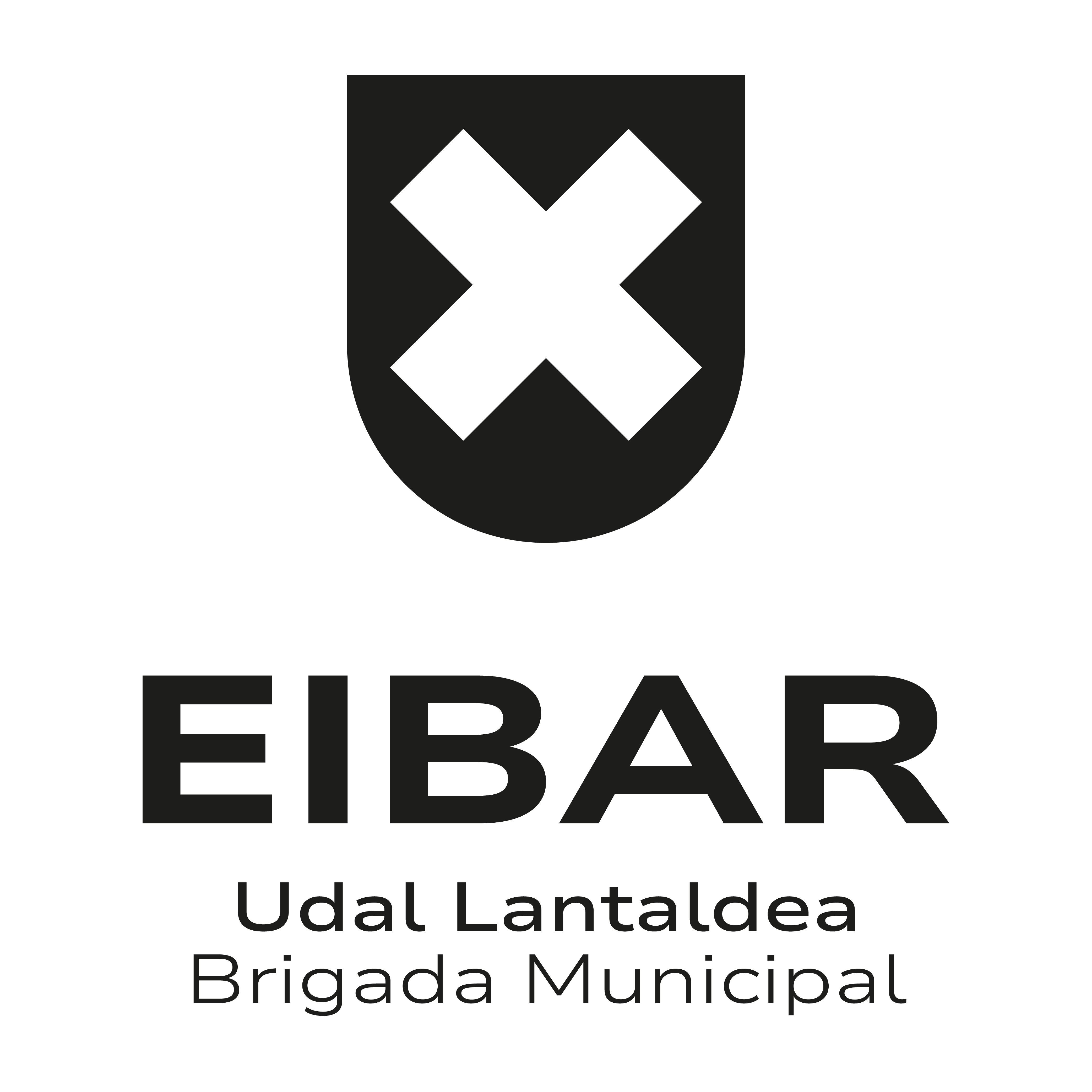 Udal Lantaldea bertikala positiboa